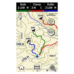 Garmin Alpha 100 с ошейником TT15 EU